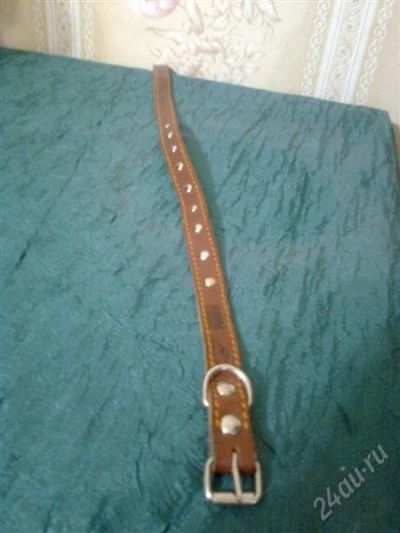 Лот: 2178519. Фото: 1. Ошейник для кошки или небольшой... Ошейники, одежда, конное снаряжение