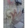 Лот: 14693810. Фото: 1. Светильник Люксар 0002/К2. Другое освещение