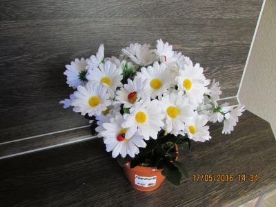 Лот: 7360153. Фото: 1. Декоративные цветы в горшках для... Искусственные и сувенирные цветы