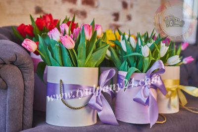 Лот: 16754101. Фото: 1. Тюльпаны оптом Иркутск (45-70см... Свежие цветы