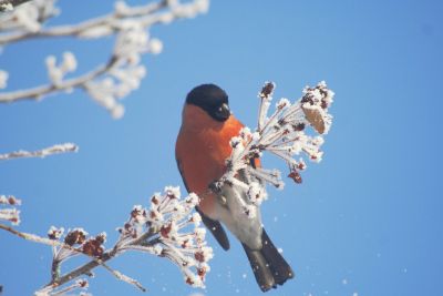 Лот: 15456508. Фото: 1. Обьектив Canon EF 100-300 /5.6L. Объективы