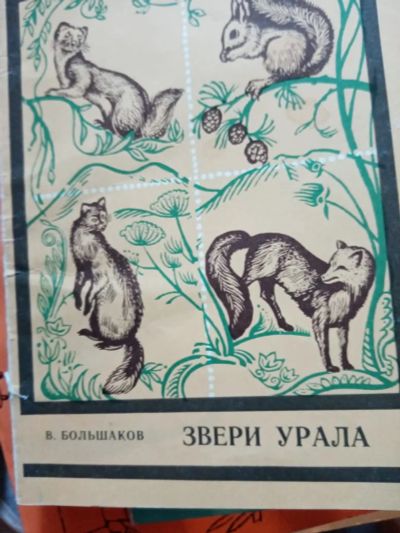 Лот: 16838335. Фото: 1. Книга 39. Биологические науки