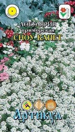 Лот: 11024351. Фото: 1. Лобулярия Сноу Капет 0,1гр/. Садовые цветы