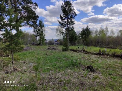 Лот: 25798453. Фото: 1. Земельный у. Земельные участки