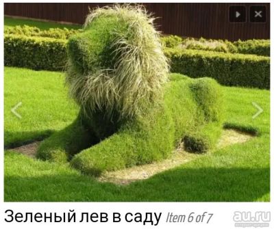 Лот: 13692162. Фото: 1. Каркас для топиарной фигуры лев. Всё для ландшафта