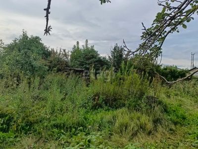 Лот: 25287090. Фото: 1. участок , садоводческое некоммерческое... Земельные участки