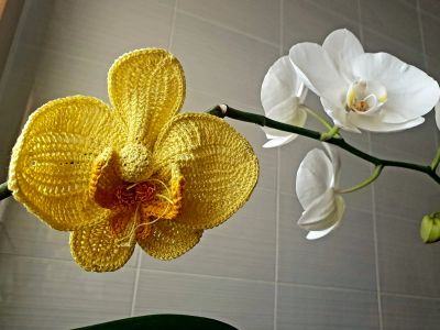 Лот: 19396123. Фото: 1. Брошь цветок. Броши