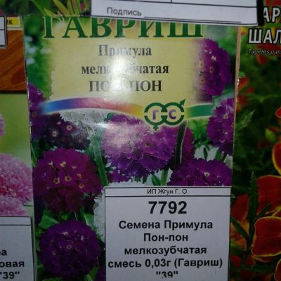 Лот: 9115400. Фото: 1. Семена / цветы / Примула / Пон-пон... Садовые цветы