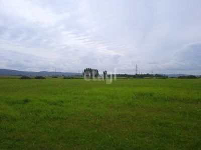 Лот: 25297574. Фото: 1. участок , село Есаулово село Есаулово... Земельные участки