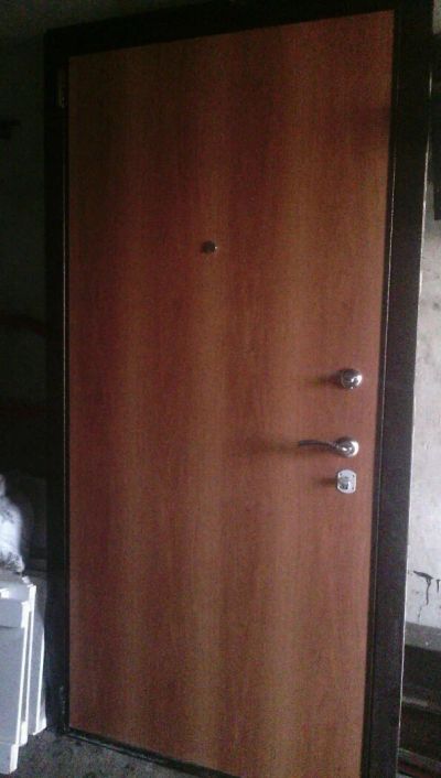 Лот: 9740232. Фото: 1. Дверь. Двери входные