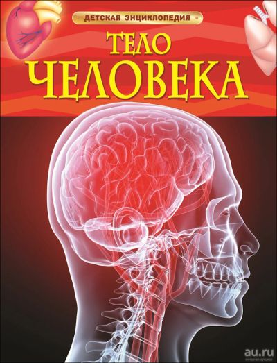Лот: 18082194. Фото: 1. Тело человека. Детская энциклопедия... Познавательная литература