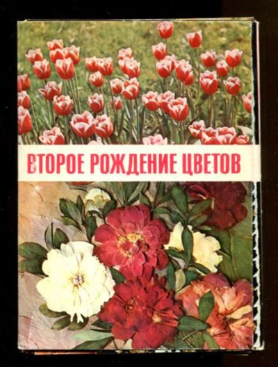 Лот: 23436556. Фото: 1. Второе рождение цветов | Набор... Открытки, конверты