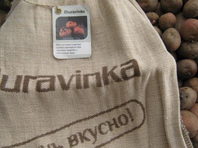 Лот: 7574264. Фото: 1. Картофель семенной. Овощи