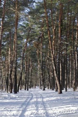 Лот: 7223776. Фото: 1. Куплю земельный участок. Земельные участки