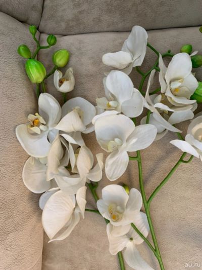 Лот: 17411326. Фото: 1. Белая орхидея из силикона. Горшечные растения и комнатные цветы