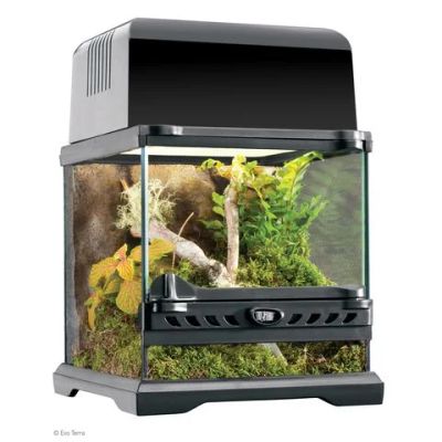 Лот: 4505338. Фото: 1. Террариум EXO TERRA Nano 20x20x20см. Домики, переноски, клетки, когтеточки