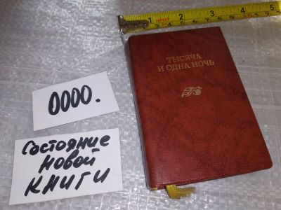 Лот: 17330815. Фото: 1. Перевод Салье М. А., иллюстрации... Художественная