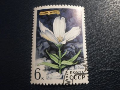 Лот: 17316127. Фото: 1. Марка для Вашей коллекции. №27581. Марки