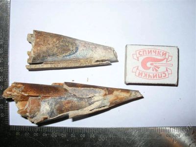 Лот: 791721. Фото: 1. Кусочки бивня мамонта №1. Археология