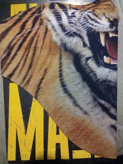 Лот: 4997661. Фото: 1. Маска (балаклава) сноуборд, горные... Маски, очки