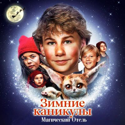 Лот: 24290528. Фото: 1. Зимние каникулы: Магический отель. Видеозаписи, фильмы