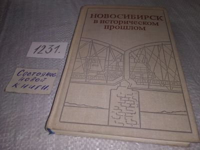 Лот: 19231790. Фото: 1. Горюшкин Л. М., Бочанова Г. А... История