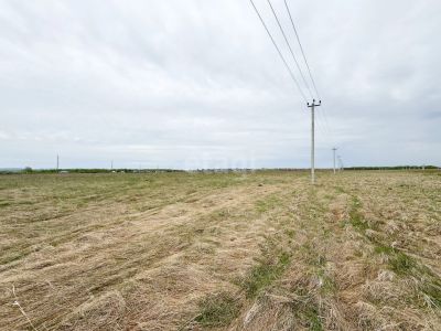 Лот: 25296487. Фото: 1. участок , СНТ Дружба СНТ Дружба... Земельные участки