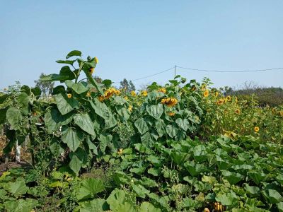 Лот: 17389484. Фото: 1. участок. Земельные участки
