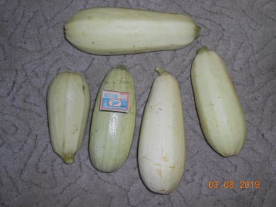 Лот: 14319524. Фото: 1. Кабачки Грибовские цена за 3 шт... Овощи, фрукты, зелень