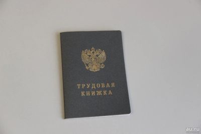 Лот: 8052526. Фото: 1. Трудовая книжка. Другое (домашний быт)