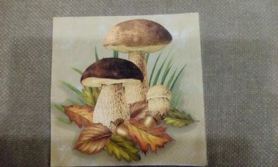 Лот: 6883294. Фото: 1. Салфетки для декупажа # 1. Декупаж