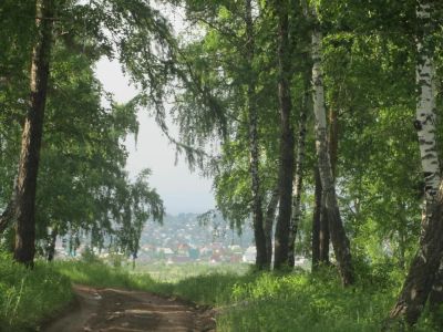 Лот: 8124148. Фото: 1. Кузнецовское Плато Участок с Лесом. Земельные участки