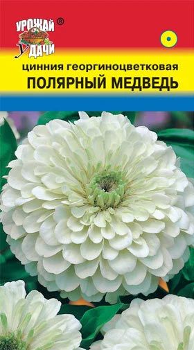 Лот: 12984726. Фото: 1. Семена циннии георгиноцветковой... Садовые цветы