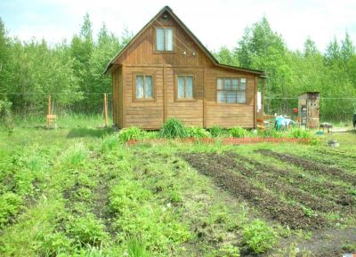 Лот: 7156020. Фото: 1. Куплю дачу в восточном направлении... Дачи