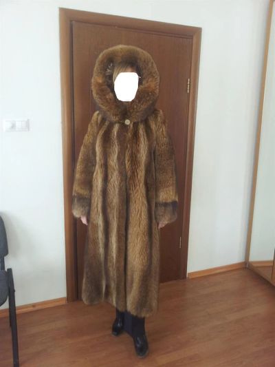 Лот: 3538909. Фото: 1. Шуба енот. Верхняя одежда