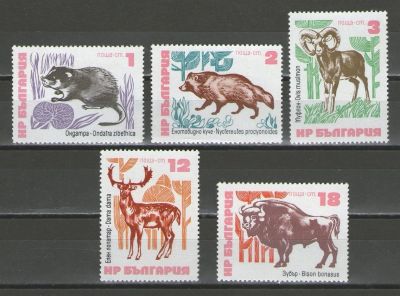 Лот: 16205308. Фото: 1. 1973 год. Болгария. Фауна. Идеальное... Марки
