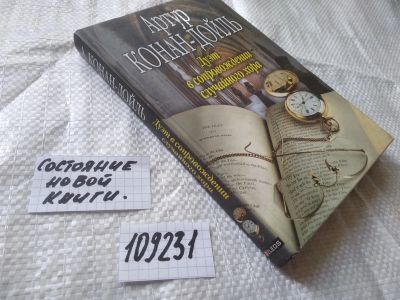 Лот: 20761535. Фото: 1. (109231) Дуэт в сопровождении... Художественная
