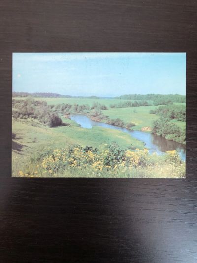 Лот: 23299909. Фото: 1. Лето. 1984 г. Открытки, конверты