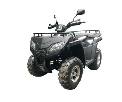 Лот: 25774818. Фото: 1. Квадроцикл RATO RT250ST. Снегоходы, квадроциклы