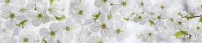 Лот: 13859456. Фото: 1. SP 268 Стеновые дизайн панели... Фартуки для кухни