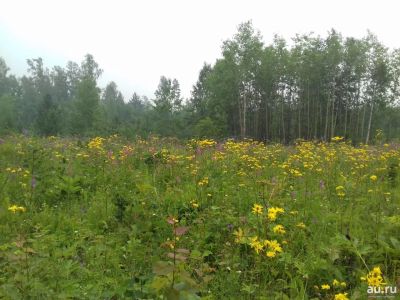 Лот: 15847834. Фото: 1. Участок. Земельные участки