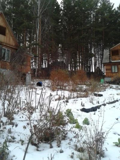 Лот: 4941692. Фото: 1. Продам 2 дачи и не только в одном... Дачи