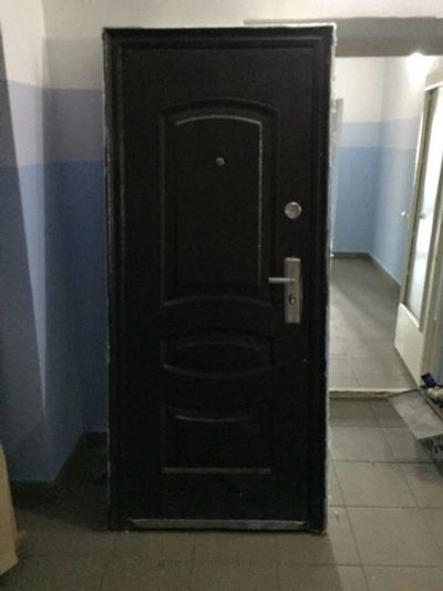 Лот: 11973415. Фото: 1. дверь на дачу. Двери входные