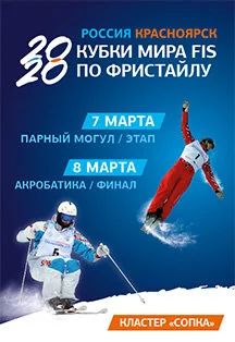 Лот: 15607706. Фото: 1. Билет на чемпионат мира по фристайлу... Подарки на 8 марта