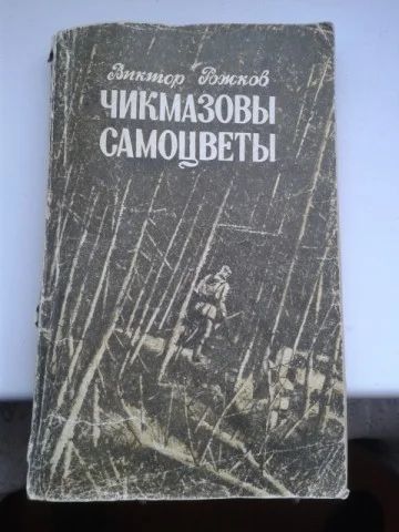 Лот: 11366028. Фото: 1. Рожков В. Чикмазовы самоцветы. Художественная
