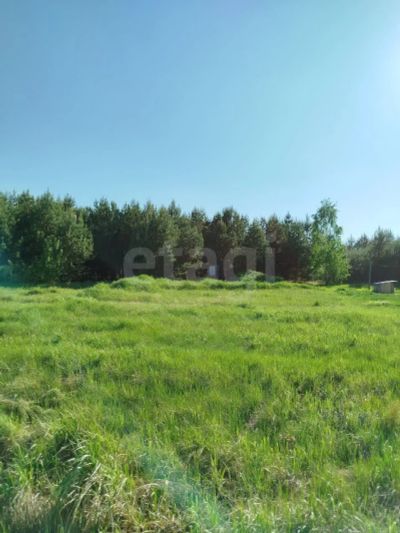 Лот: 25396592. Фото: 1. участок , ДНТ Лётчик ДНТ Лётчик... Земельные участки