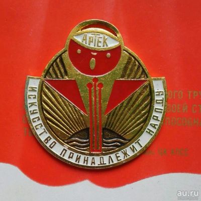Лот: 10644839. Фото: 1. Медаль пионерского лагеря Артек... Сувенирные