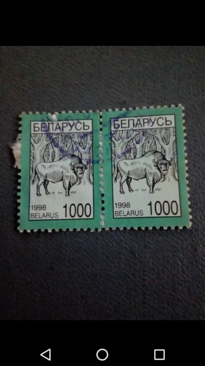 Лот: 20855078. Фото: 1. Белоруссия. Фауна. Зубр. Животные... Марки