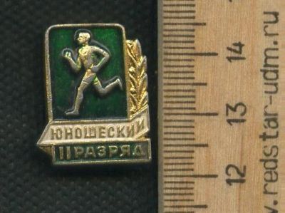 Лот: 17753642. Фото: 1. (№9661) значки Юношеский 2 разряд. Другое (значки, медали, жетоны)