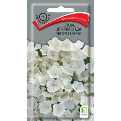 Лот: 24642529. Фото: 1. Семена Цветы, Флокс друммонда... Другое (семена, рассада, садовые растения)